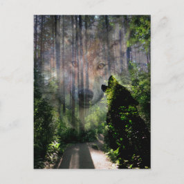 Met de Wolven. Briefkaart