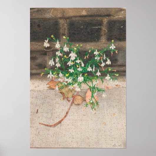 Met de zwarte muur van Lobelia Poster (Voorkant)