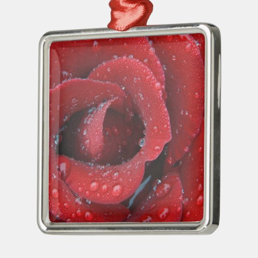 Met dew bedekte rode rozen ter decoratie van graf  (Links)