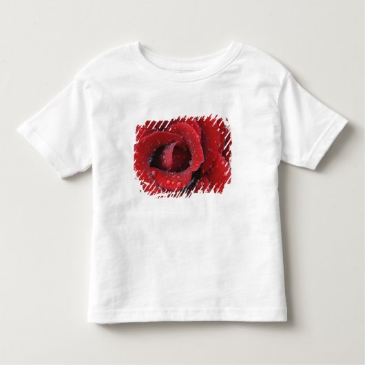 Met dew bedekte rode rozen ter decoratie van graf  kinder shirts (Voorkant)