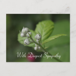met diepste medeleven,zomer wilde frambozen bloem briefkaart
