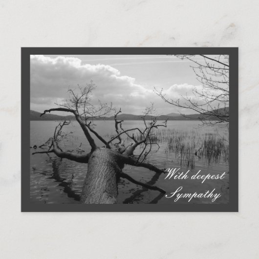 Met diepste sympathie briefkaart (Voorkant)