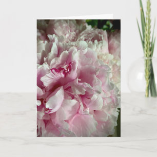 Met diepste sympathie met witte en roze pioenrozen kaart