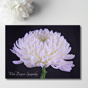 Met diepste sympathie Witte Chrysanthemum Kaart