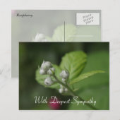 Met diepste sympathie, zomer wilde frambozenbloem briefkaart (Voorkant / Achterkant)