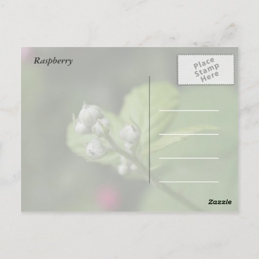 Met diepste sympathie, zomer wilde frambozenbloem briefkaart (Achterkant)