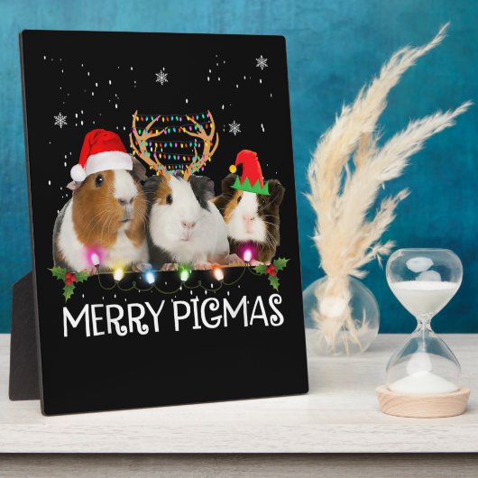 Met drie paigne kerstlampjes met kerstmis fotoplaat (Zijkant)