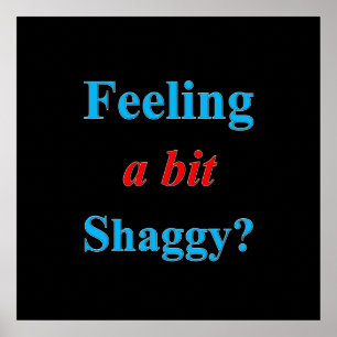 Met een Bit Shaggy Poster Matte