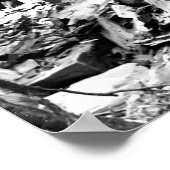 MET EEN GIANT REDWOOD c. 1889 Poster (Hoek)