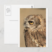 Met een hak briefkaart (Voorkant / Achterkant)