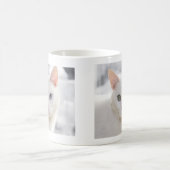 met een oneven witte kat dicht bij het gezicht koffiemok (Center)