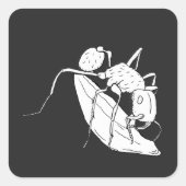 🐜 met een zaadcapsule vierkante sticker (Voorkant)