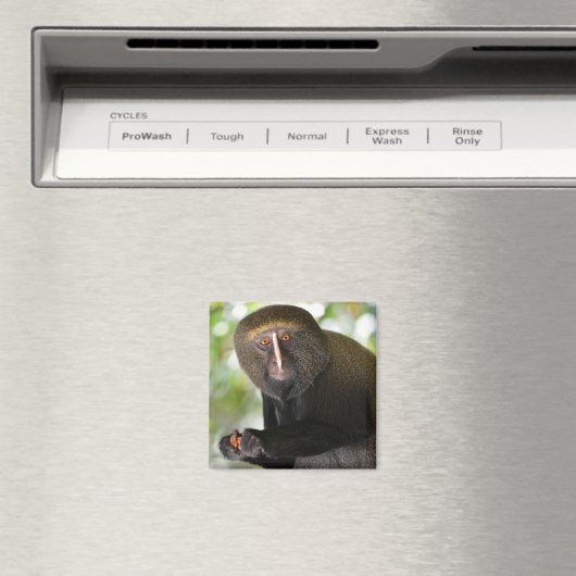 Met een zijkant bedekte aap briefkaart vierkant st magneet (Insitu (Vaatwasser))