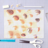 Met elke shell foto kunt u aangepaste decoupage-vl tissuepapier (Craft)