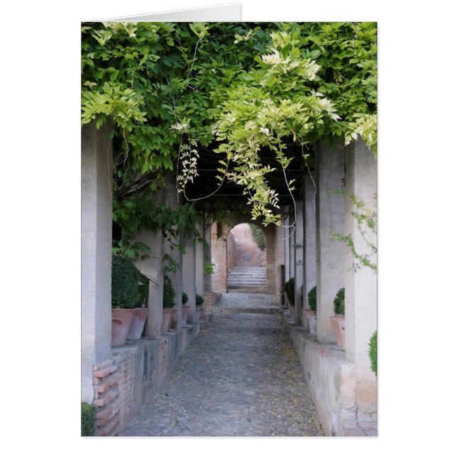 Met gebladerte overdekte wandelweg, Spanje (Voorkant)