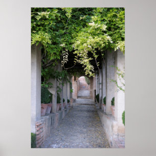 Met gebladerte overdekte wandelweg, Spanje Poster