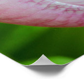 Met God alle mogelijke Inspirerend dingen Poster (Hoek)