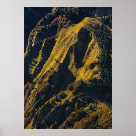 Met gras bedekte berg in de herfst poster (Voorkant)