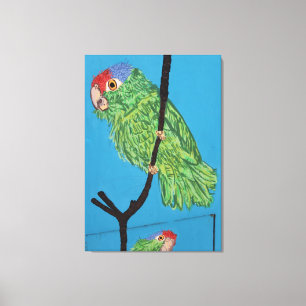 met groene papegaai omwikkeld canvas afdruk