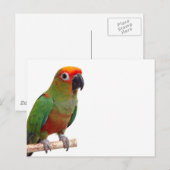 met gulden rand briefkaart (Voorkant / Achterkant)