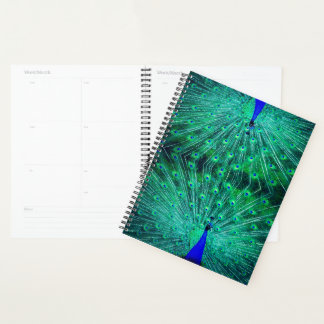 Met het prachtige groen, blauw en turquoise planner