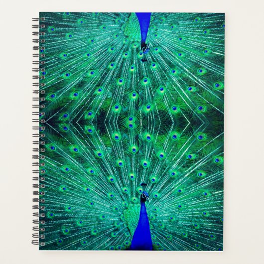 Met het prachtige groen, blauw en turquoise planner (Voorkant)