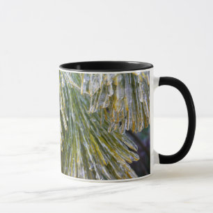 Met Ijs Bedekte Dennennaalden Winter Botanisch Mok