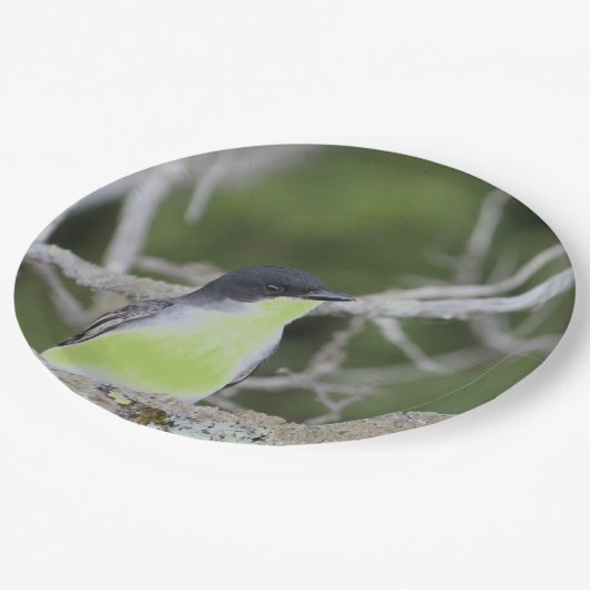 Met kleine vogel in de Groenen Papieren Bordje (Gekanteld)