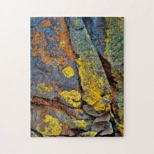 Met korstmos bedekte rotsen legpuzzel (Verticaal)