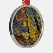 Met korstmos bedekte rotsen metalen ornament (Rechts)