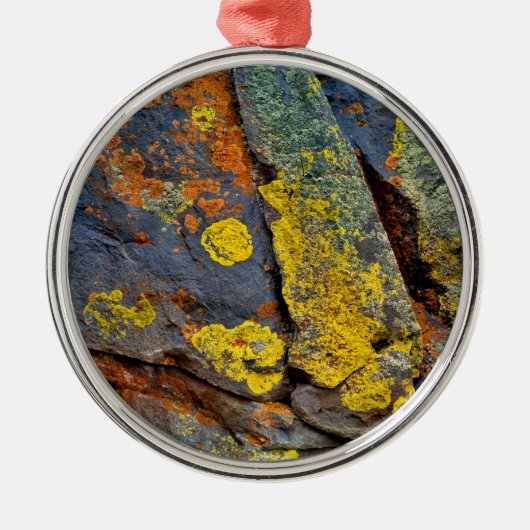 Met korstmos bedekte rotsen metalen ornament (Voorkant)