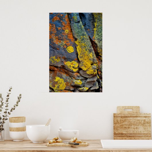 Met korstmos bedekte rotsen poster (Keuken)