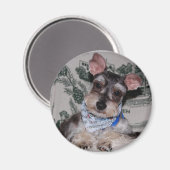 Met krans geslagen magneet (Voorkant / Achterkant)