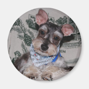 Met krans geslagen magneet