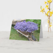 met lavendel gevulde kruiwagen kaart (Gele Bloem)