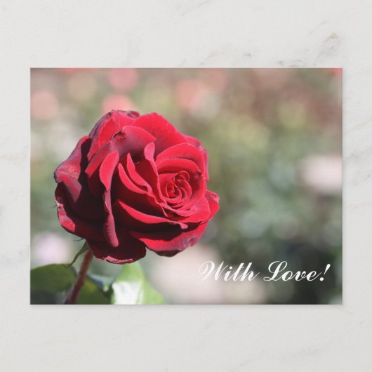 Met liefde Briefkaart (Voorkant)