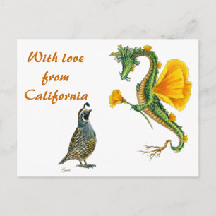 Met liefde uit Californië - briefkaart