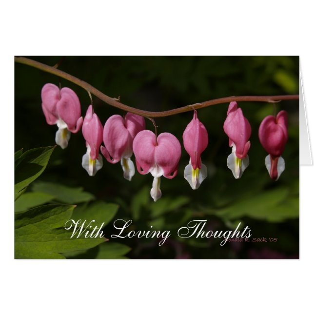 Met liefdevolle gedachten (Voorkant Horizontaal)