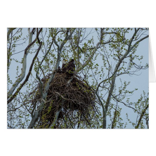 Met mam koelen (Voorkant Horizontaal)