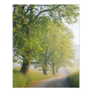 Met mist bedekte weg, Cades Cove, Great Smoky Foto Afdruk