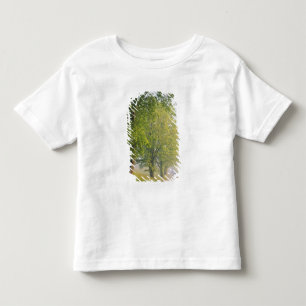 Met mist bedekte weg, Cades Cove, Great Smoky Kinder Shirts