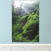 Met mos bedekte rotsen Canvas Print (Insitu (Houten vloer))