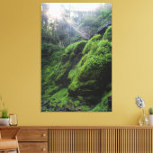 Met mos bedekte rotsen Canvas Print (Insitu (Woonkamer))