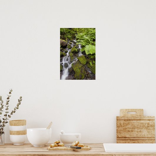 Met mos bedekte rotsen met wazig water en kannen poster (Keuken)