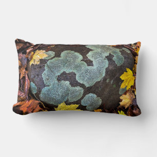 Met mos bedekte steen in Autumn Leaves Sierkussen Kussen