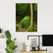 Met mos beklede steen poster (Thuiskantoor)