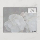 Met oprechte medeleven - condoleancekaart briefkaart (Achterkant)