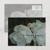 Met oprechte sympathie - rouwkaart briefkaart (Voorkant / Achterkant)