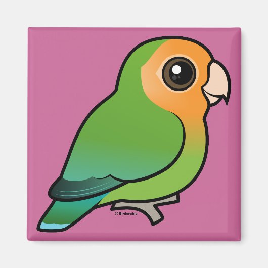 met Oranje vlakken bedekt zangvogel Magneet (Voorkant)