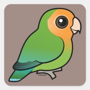 met Oranje vlakken bedekt zangvogel Vierkante Sticker